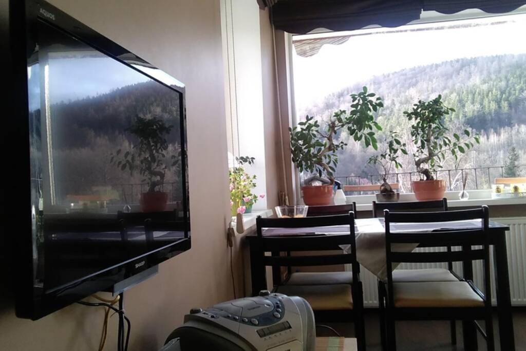 Rodzinny 2 Pokojowy. Widok Na Snieżke. Apartament *
