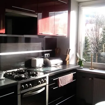 Apartament Rodzinny 2 Pokojowy. Widok Na Sniezke. Karpacz Exterior foto