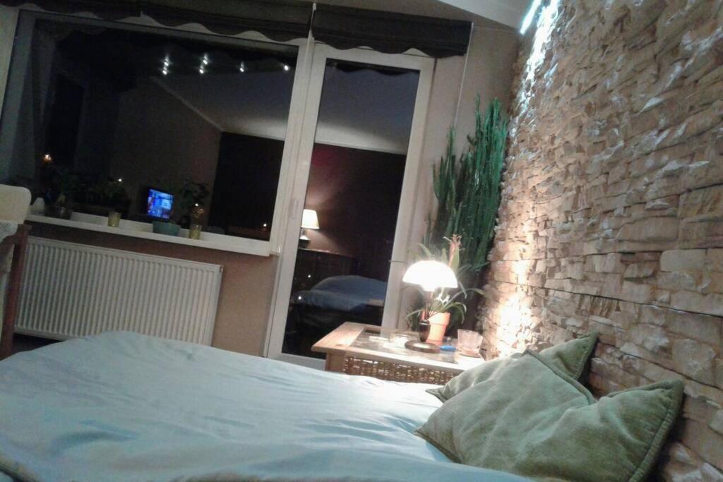 Rodzinny 2 Pokojowy. Widok Na Sniezke. Leilighet
