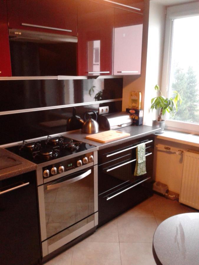 Rodzinny 2 Pokojowy. Widok Na Snieżke. Apartament *