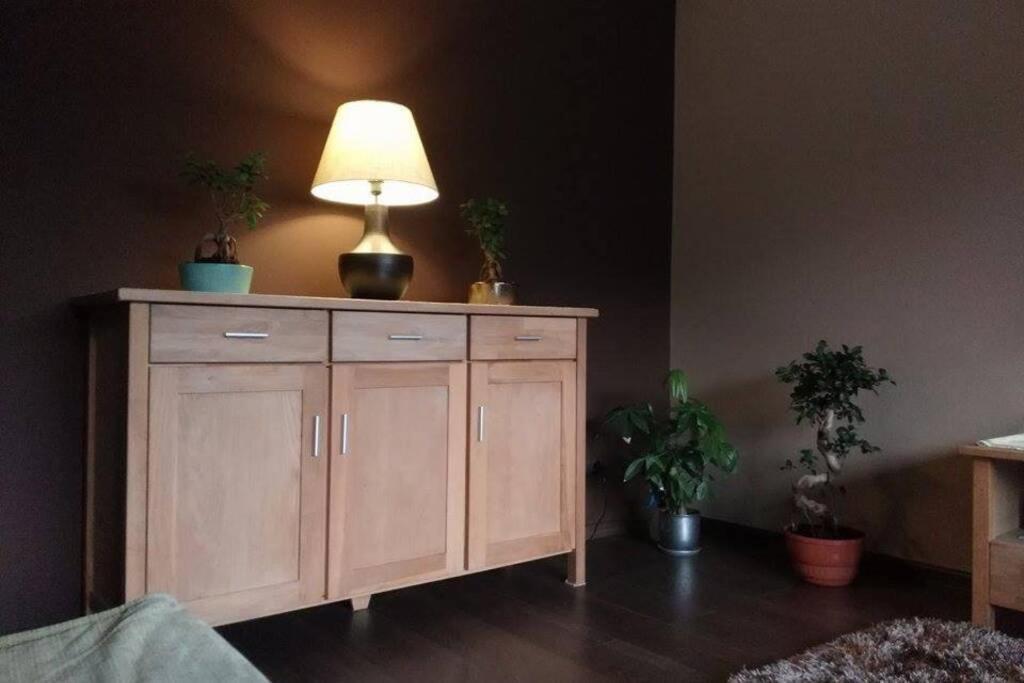 Leilighet Rodzinny 2 Pokojowy. Widok Na Sniezke. Karpacz